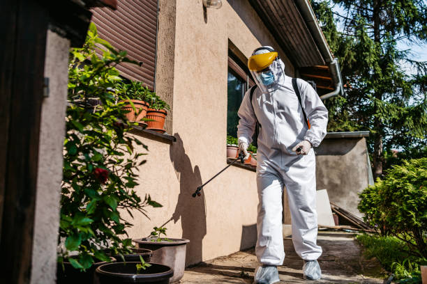 Best Pest Removal Services  in Germantown, TN