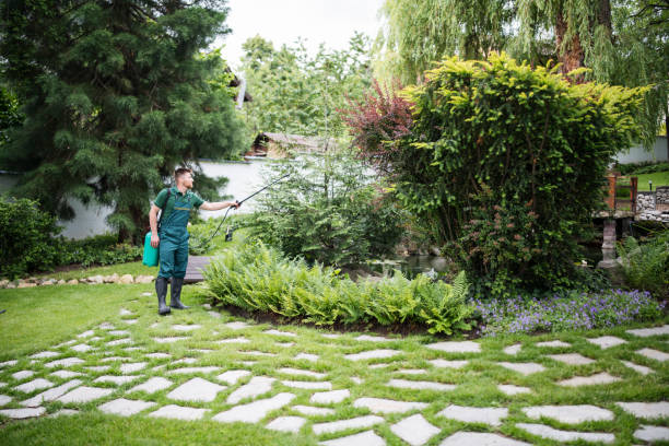 Professional Pest Control in Germantown, TN