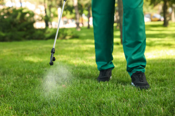 Best Exterminator Services  in Germantown, TN