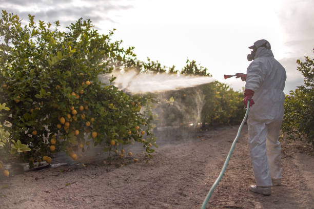 Best Best Pest Control Companies  in Germantown, TN