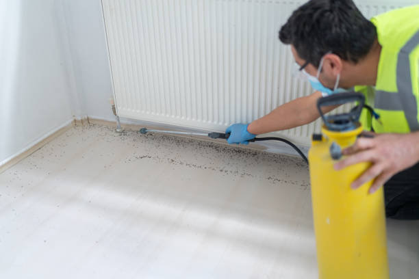 Best Mosquito Control Services  in Germantown, TN